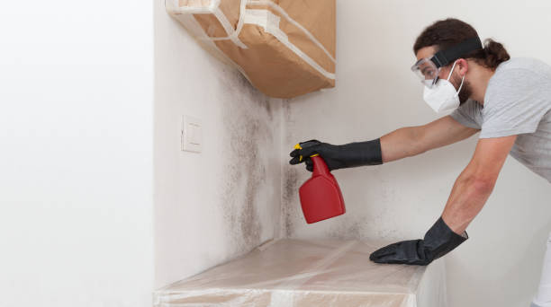 Professional Basement Mold Remediation technician working in Riverton, NJ