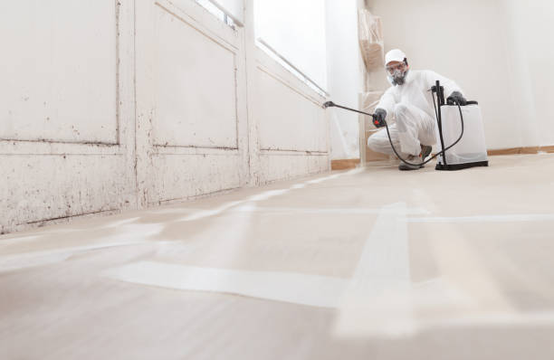 24/7 Emergency Basement Mold Remediation experts in Riverton, NJ