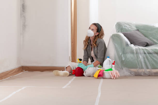 Reliable Basement Mold Remediation contractor in Riverton, NJ by 24 Hour Mold Removal